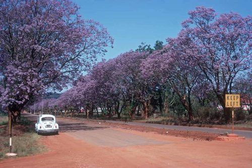 Nhlangano History